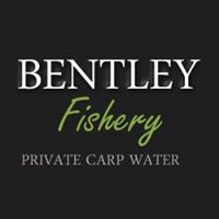 Bentley Fishery - Carp Lake